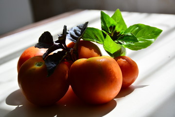 Tomatoes with basil