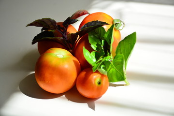 Tomatoes with basil