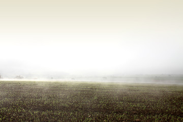 Fototapeta na wymiar Landschaft in dichtem Nebel