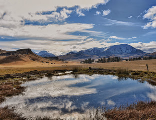 El reflejo de la naturaleza en un lago 