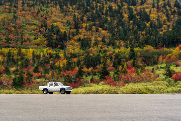 The White Pickup Truck And Forest.