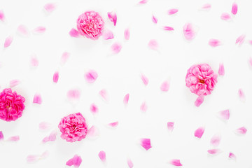 Pink roses petals on white background. Flat lay, top view. Valentine's background. Love, romance concept.