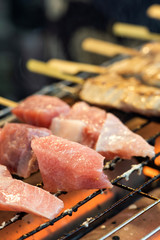 Closeup View Of Fresh Tuna Sticks Are On The Grill.