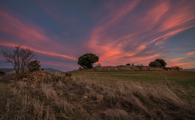 Blue and purple sky sunset during a winter day near a wheat field in Spain - Image