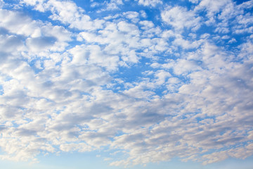 Fototapeta premium Cirrocumulus Cloud in blue sky