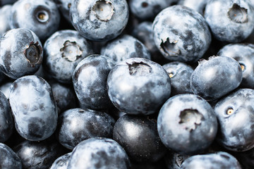 Fresh organic blueberry macro view.