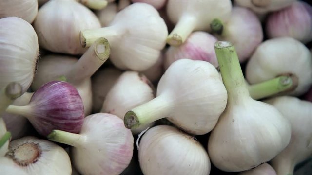 fresh garlic on the market