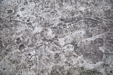 Background of cement screed with human dog tracks, abstract pattern. Design backgrounds texture.