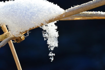 Schnee schmilzt