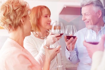 Happy mature couple toasting wineglasses by friends at home