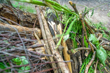 The texture of a homemade hut from a pile of dry sticks and old foliage