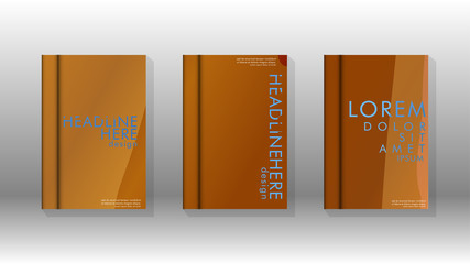 Cover book with a geometric design background.