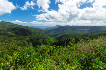 Naklejka na ściany i meble Panoramic view of Black River Gorges National Park, Gorges Viewpoint in Mauritius.
