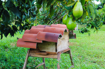 red post box in the garden
