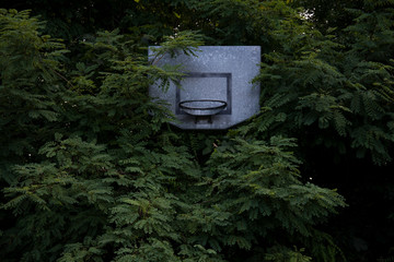 basket court © Marta