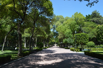 Fototapeta premium parque alameda
