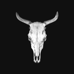 Selbstklebende Fototapeten White cow skull isolated on black background © alekseyliss