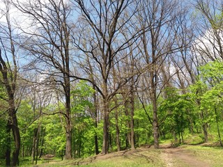 Obraz premium lake, water, landscape, sky, nature,