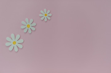 Naklejka premium Beautiful pink background with daisies. Texture for creative ideas. The concept of lightness and minimalism in design