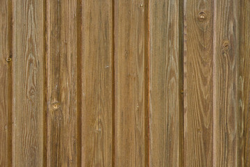 Wooden background pattern nature texture closeup