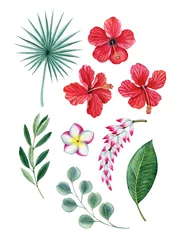 Deurstickers Tropische planten tropische plant