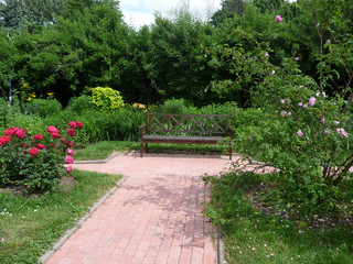 A bench in the garden