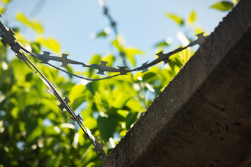 Barbed wire on the background of green, soft focus