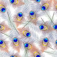 Beautiful seamless pattern with peacock feathers. vector illustration.