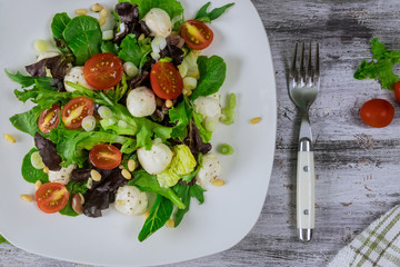 Lettuce salad with cherry tomatoes and mozzarella