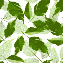 Seamless pattern with leaves. Vector illustration.