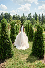 Portrait of beautiful bride in beige wedding dress with modern curly hairstyle and veil walking on garden, back view. Wedding concept