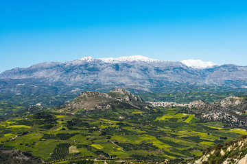 Fototapeta premium Archanes region rural landscape with vineyards and olive tree groves in Heraklion, Crete, Greece.