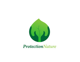 Hand holding leaf logo