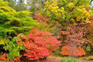 Balloch Castle;England