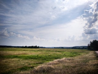 field and blue sky