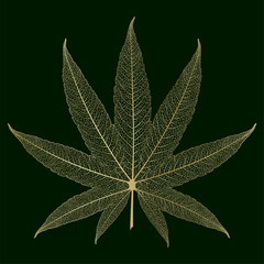 Leaf Marijuana , isolated. Medical cannabis. Vector illustration.
