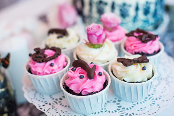 candy bar and cake