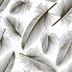 Seamless pattern with of  colored feather. Vector illustration. 