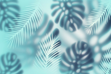 Background with tropical Monstera leaves