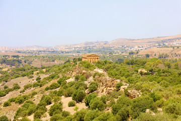 Fototapeta na wymiar Temple of Concordia and vegetation in Valley of the Temples, Agrigento, Sicily