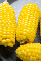 Fresh cooked yellow corn cobs lie on a gray dish