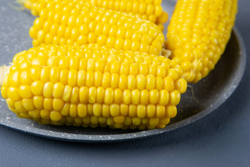 Fresh cooked yellow corn cobs lie on a gray dish