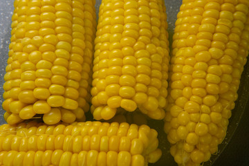Fresh cooked yellow corn cobs lie on a gray dish