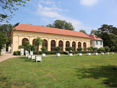 Orangerie im Park Luisium