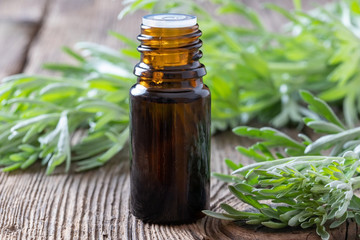 A bottle of wormwood essential oil with fresh Artemisia Absinthium twigs