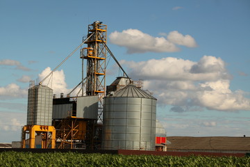 modern grain drying plant building