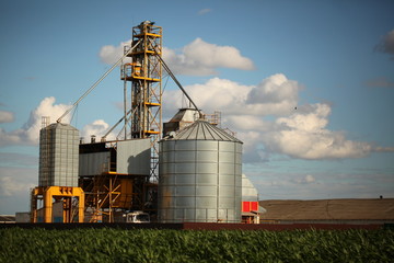 Obraz premium modern grain drying plant building