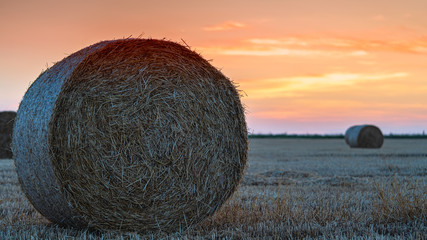 haystacks lie on a field harvesting
