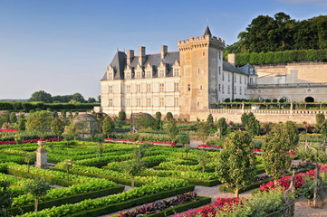 Fototapeta na wymiar Villandry Castle with garden Indre et Loire Centre France.