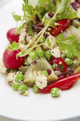 Appetizer;Dubai; United Arab Emirates